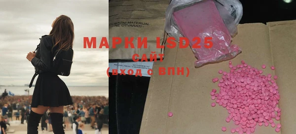 шишки Сатка