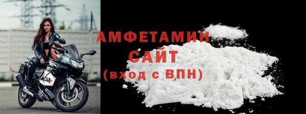 шишки Сатка