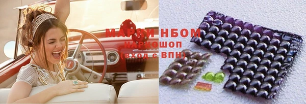 шишки Сатка