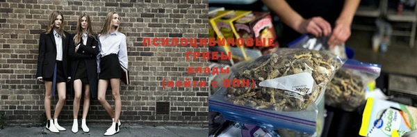 гидра Сафоново